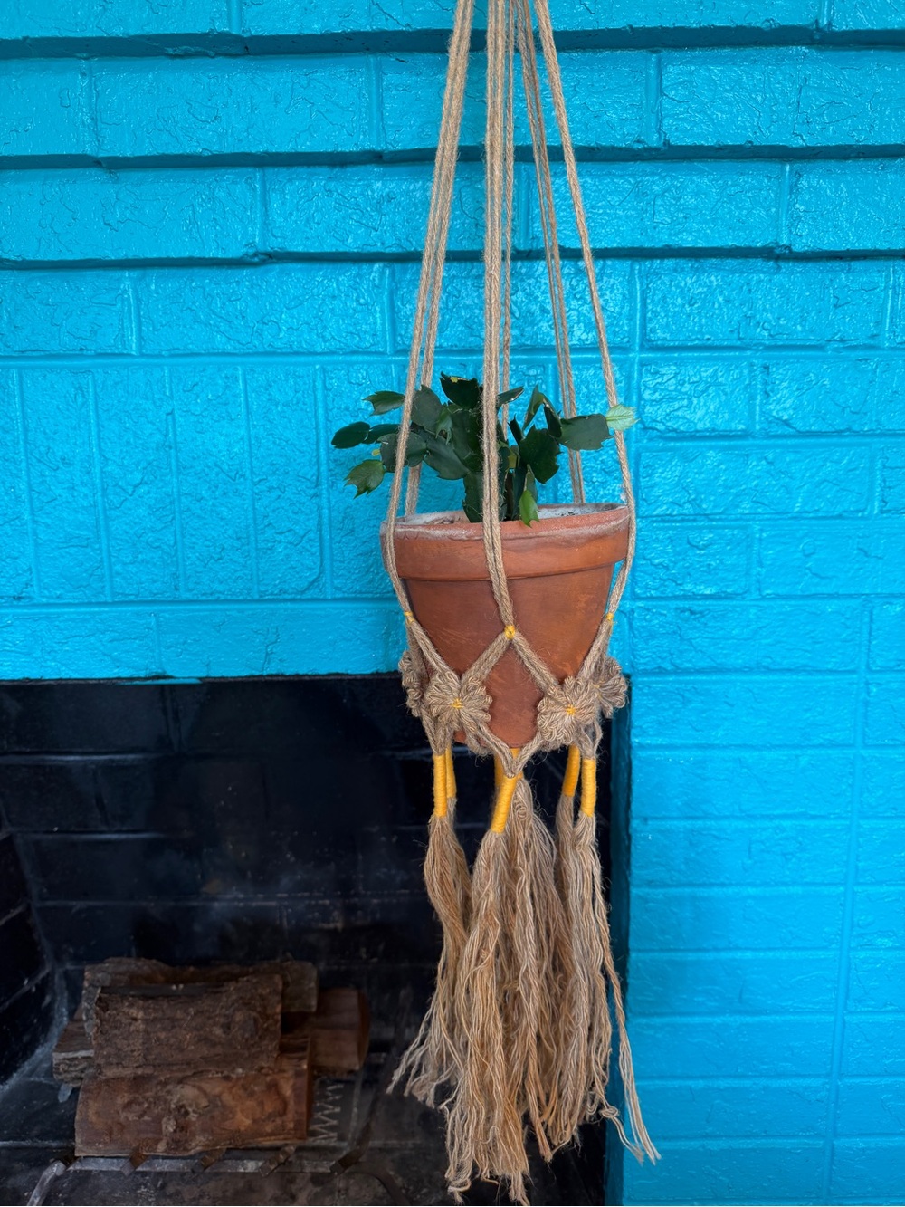 Handmade Jute Macrame Plant Hanger- Natural & Yellow